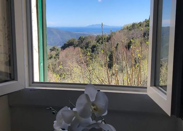 Vakantiehuis Maison Corse Avec Piscine Et Sauna - La Casa Lilia *