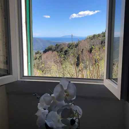 Σπίτι διακοπών Maison Corse Avec Piscine Et Sauna - La Casa Lilia *