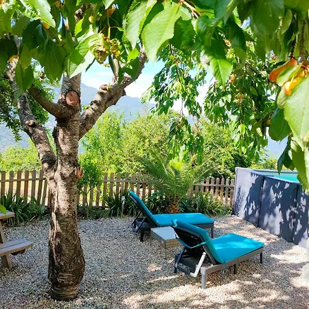 Holiday home Maison Corse Avec Piscine Et Sauna - La Casa Lilia *