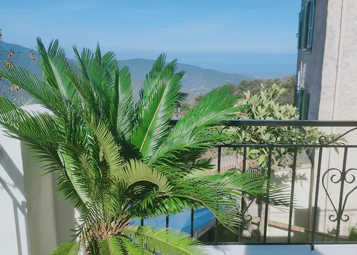 Maison Corse Avec Piscine Et Sauna - La Casa Lilia Holiday home *